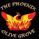 Phoenix Olive Grove Glenn  Billman